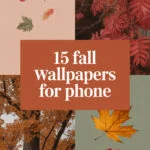 fall-aesthetic-wallpapers-ccccc-76585
