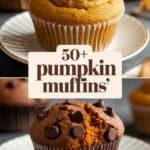 pumpkin-muffins-bbbbb-88776