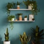 home-wall-zoom-background-shelf-aaaaa-83226