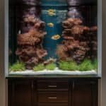 home-wall-aquarium-aquarium-setup-aaaaa-35150