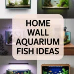 home-wall-aquarium-ccccc-54110
