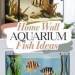 home-wall-aquarium-gallon-fish-bbbbb-11871