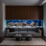 home-wall-aquarium-reef-tank-aaaaa-58927