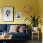 home-wall-colour-flat-aaaaa-76633