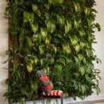 home-wall-inside-plant-aaaaa-20730