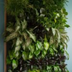 home-wall-plant-artificial-aaaaa-35138