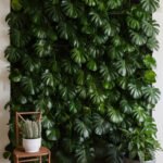 home-wall-plant-monstera-aaaaa-99745