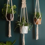 home-wall-plant-plant-hanger-aaaaa-89575