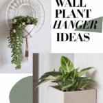 home-wall-plant-plant-hanger-bbbbb-53681