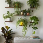 home-wall-plant-shelf-aaaaa-50381