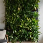 home-wall-plant-vertical-garden-aaaaa-53117