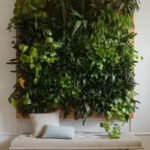 home-wall-plant-wall-ideas-aaaaa-61158