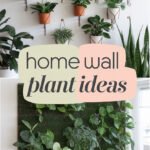 home-wall-plant-wall-ideas-bbbbb-59731