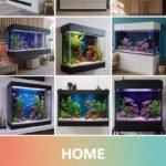 wall-aquarium-ccccc-17177