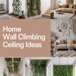 Home Wall Climbing Ceiling Ideas to Transform Your Space wall-climbing-ceiling-ccccc-83167