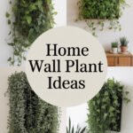 wall-plant-ccccc-64976