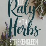 12+ Fragrant Herbs To Brighten Your Garden fragrant-herbs-ccccc-74057