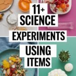 11+ Creative Science Experiments Using Everyday Items For Kindergarten Ideas science-experiments-ccccc-11609
