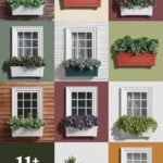 window-box-ccccc-93254
