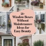 window-boxes-ccccc-24332
